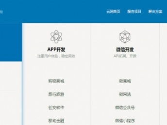 上海金融軟件定制開發 專業服務，實地考察助推項目落地